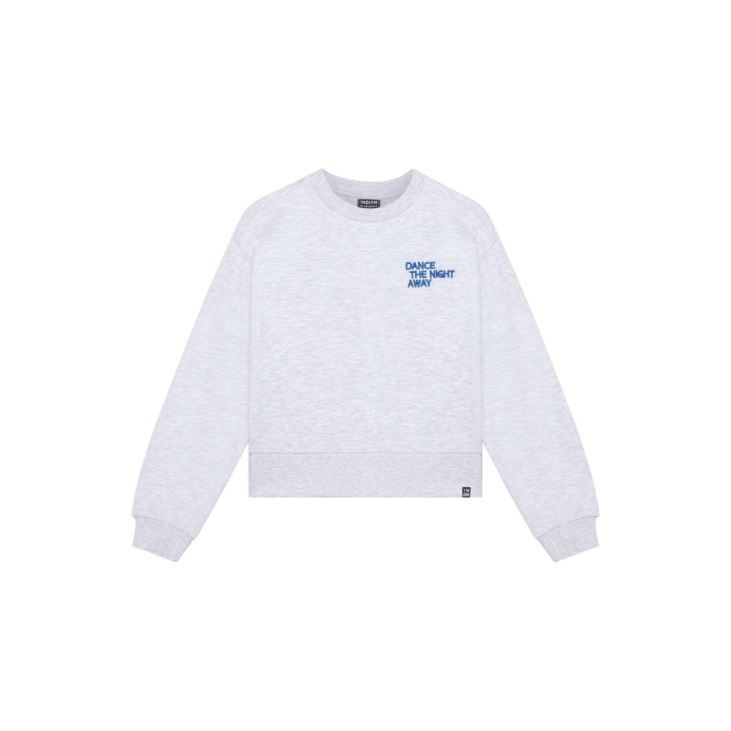 Indian Blue Jeans oversized sweater met backprint lichtgrijs