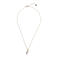A Beautiful Story ketting Instinct Fish Moonstone