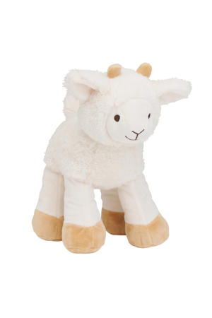 Churro Sheep no. 2