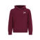 TYGO & vito hoodie met backprint - donkerrood