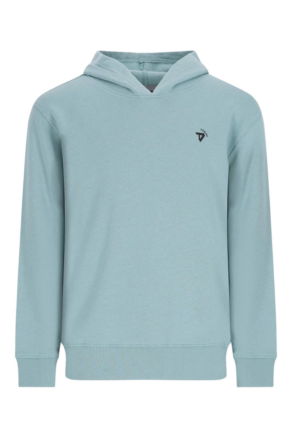 Lichtblauwe jongens TYGO & vito NextGen hoodie van sweat materiaal met backprint, lange mouwen en capuchon