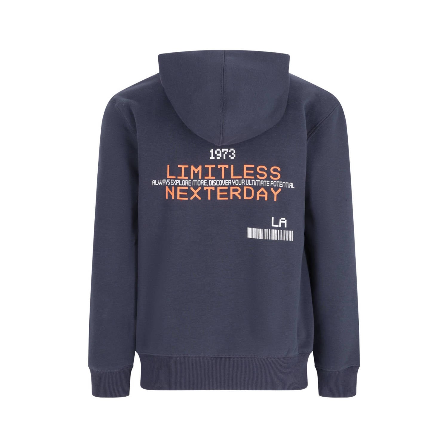 TYGO & vito NextGen hoodie met backprint donkerblauw