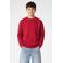 Cars sweater met logo - donkerrood