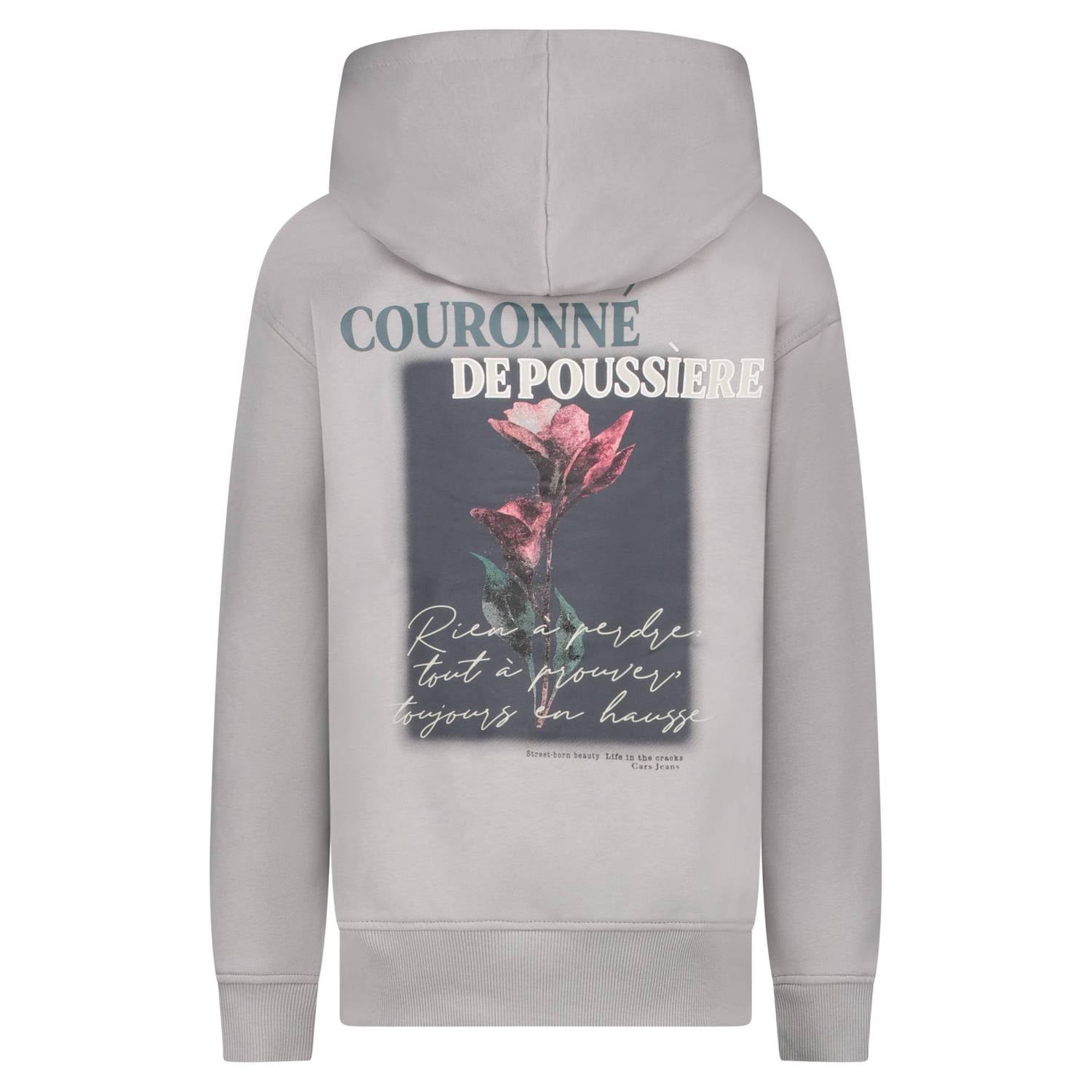 Cars hoodie met backprint grijs