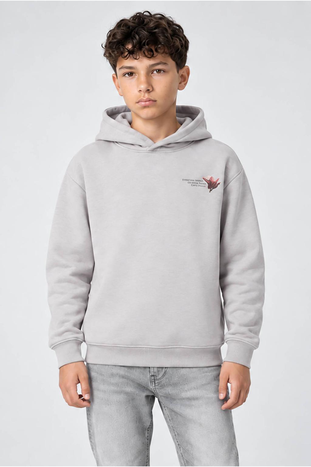 Grijze jongens Cars hoodie van sweat materiaal met backprint, lange mouwen en capuchon