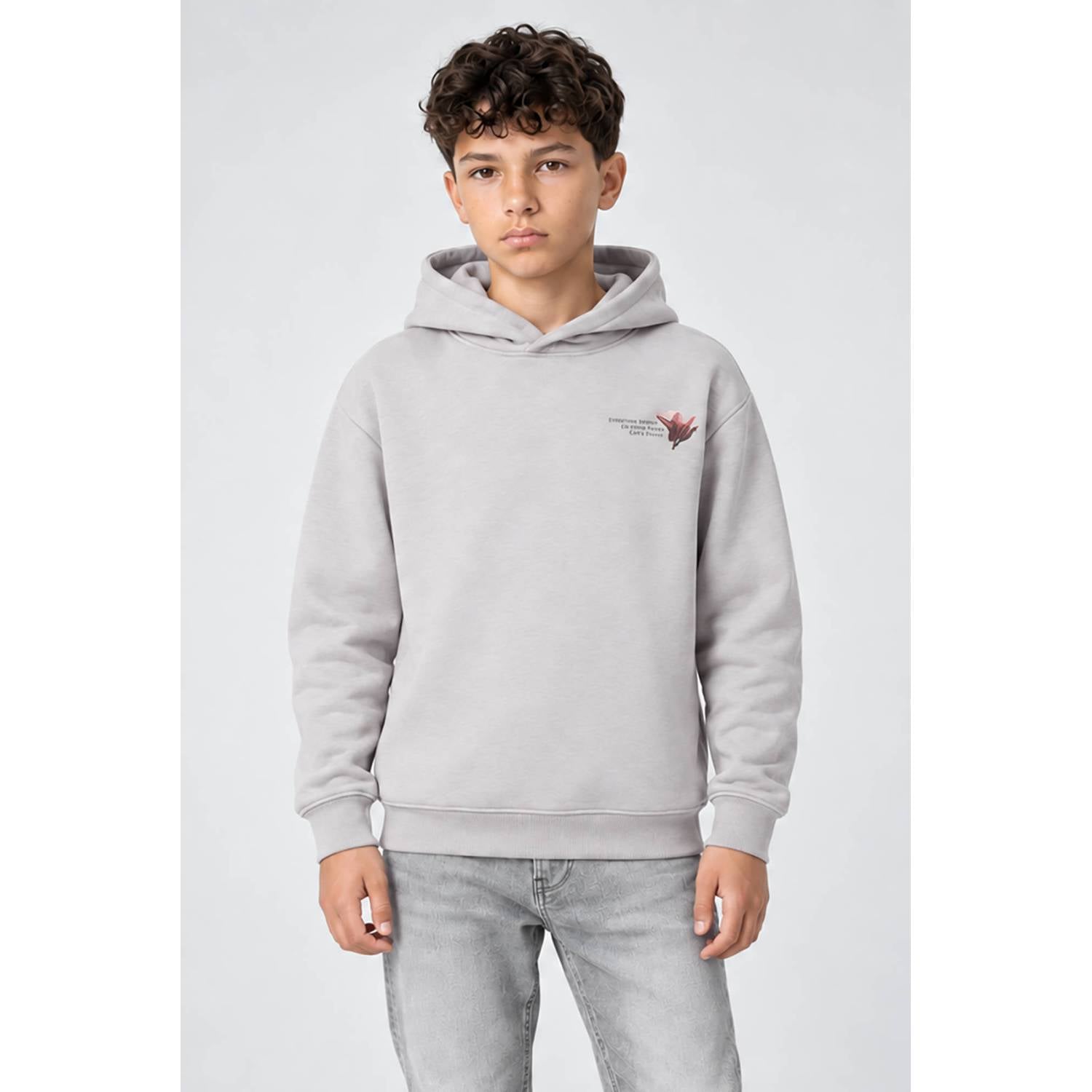 Cars hoodie met backprint grijs