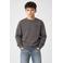Cars rechtvallende sweater met backprint - antraciet