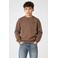 Cars rechtvallende sweater met backprint - taupe