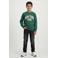 Cars sweater met print - donkergroen