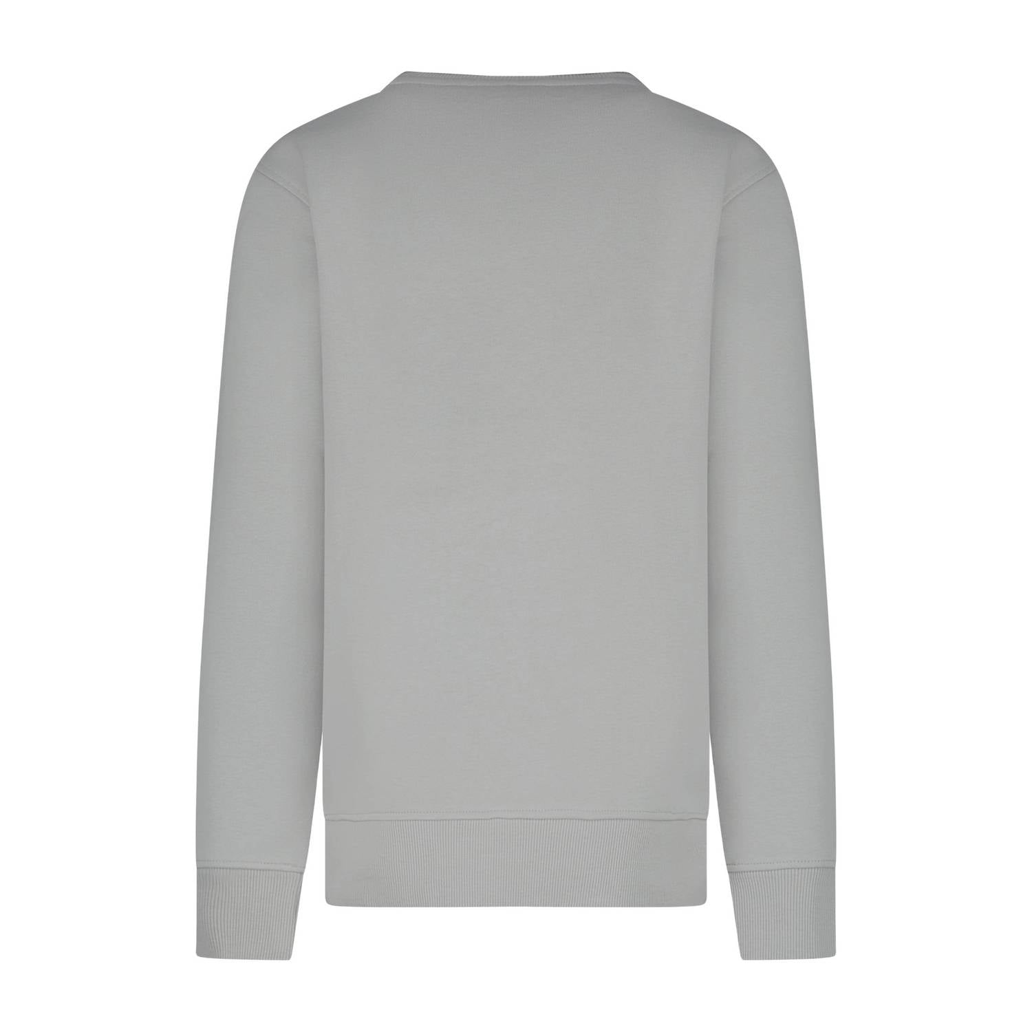 Cars sweater met print grijs