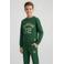 Cars sweater met print - donkergroen