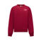Cars sweater met backprint - donkerrood