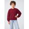 Cars sweater met logo - donkerrood