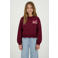 Cars sweater met backprint - donkerrood/roze
