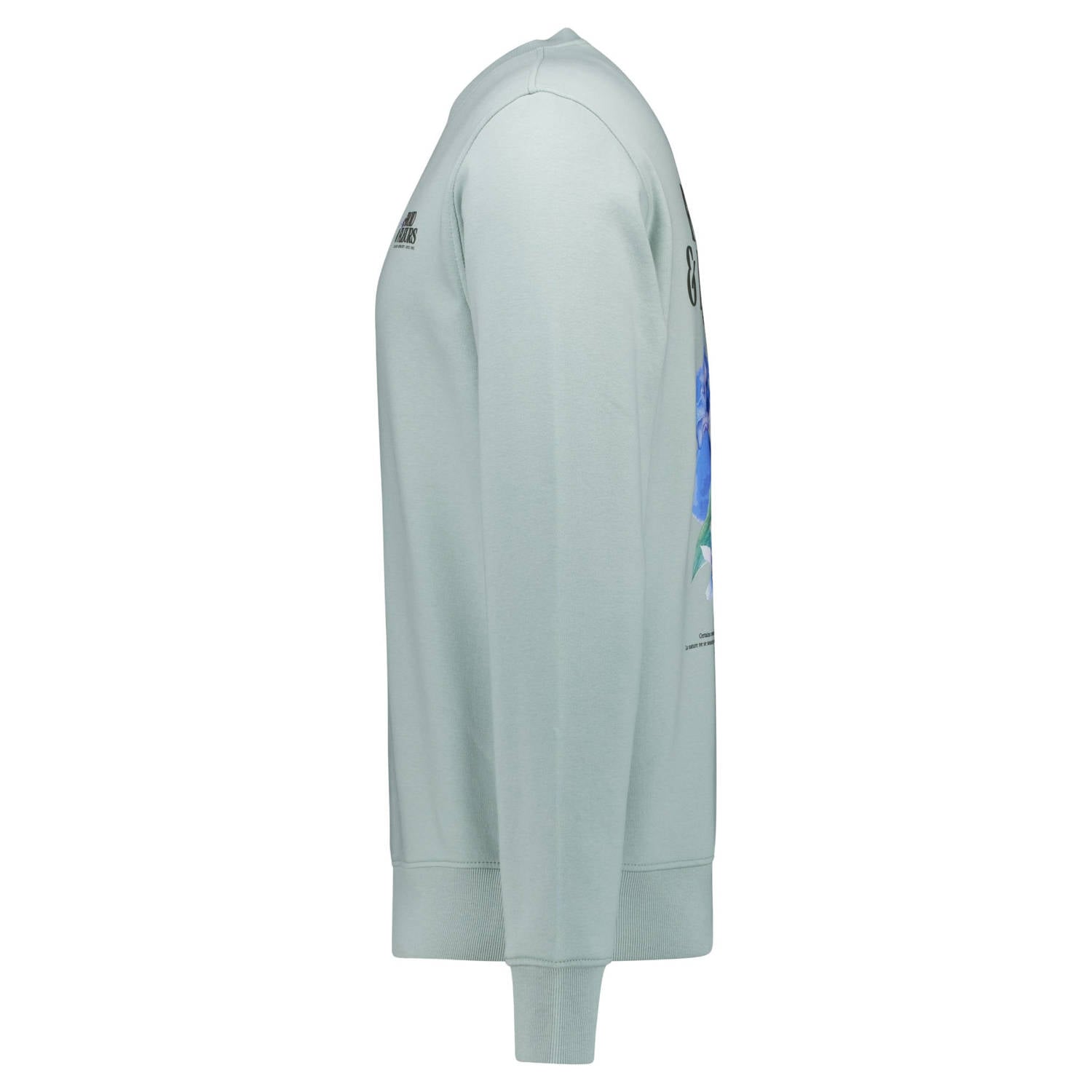 Cars regular fit sweater met backprint mint