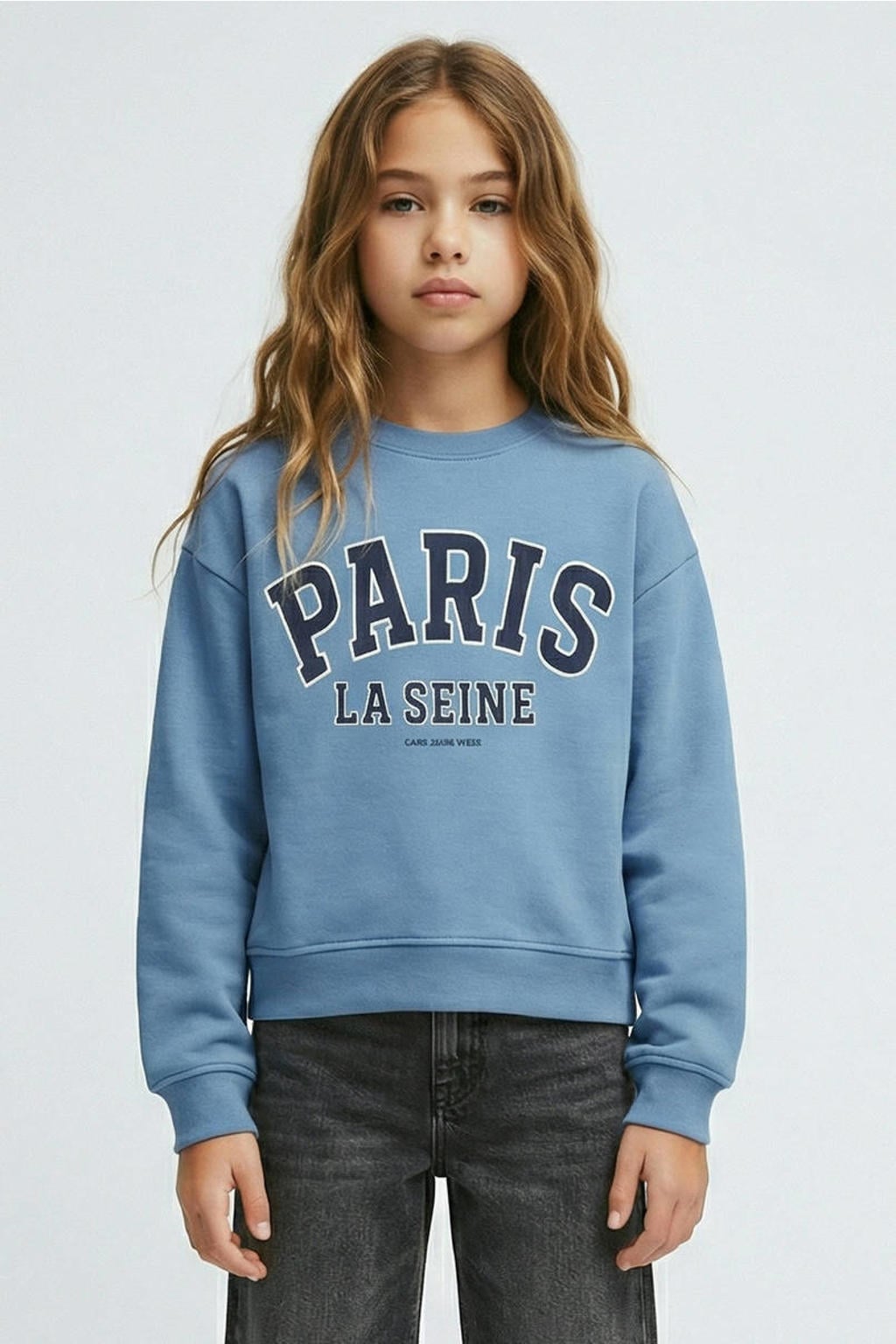 Blauwe meisjes Cars sweater met printopdruk, lange mouwen, ronde hals en geribde boorden