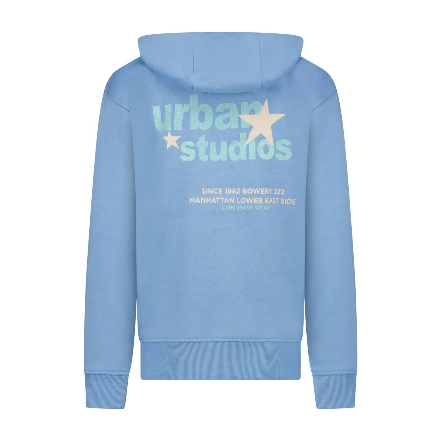 Cars hoodie met backprint lichtblauw