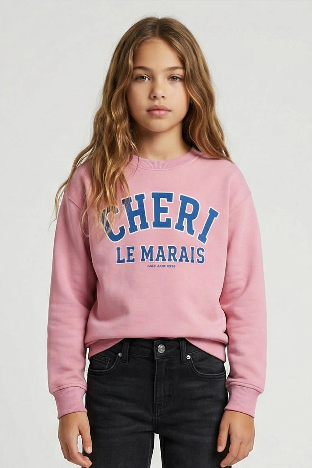 Lichtroze en blauwe meisjes Cars sweater met printopdruk, lange mouwen, ronde hals en geribde boorden