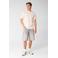 Shoeby regular fit T-shirt met print - lichtgrijs