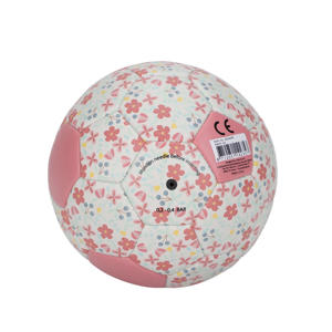Mini Bal Roze
