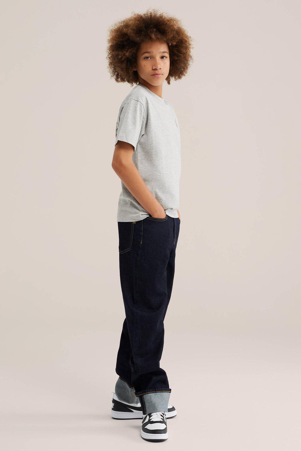 Lichtgrijze jongens WE Fashion T-shirt van katoen met backprint, korte mouwen en ronde hals