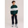 WE Fashion gestreepte longsleeve met tekst - groen/wit
