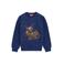 WE Fashion rechtvallende sweater met sterren - blauw