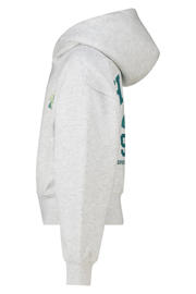 thumbnail: America Today gemêleerde hoodie met backprint - grijs