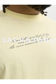 thumbnail: JACK & JONES PLUS SIZE regular T-shirt multi - (set van 5)