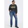 ONLY CARMAKOMA Cartammie l/s leo print o-neck swt jrs sweater Plus Size - grijs