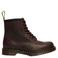 Dr. Martens 1460 leren veterboots - rood