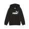 Puma Essentials No. 1 hoodie - zwart