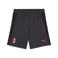 Puma Senior AC Milan