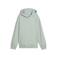 Puma essential hoodie - groen