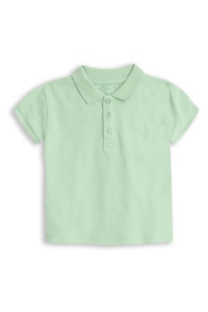 Dex Pastel green