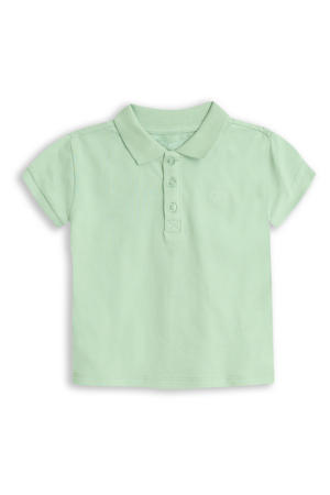 Dex Pastel green