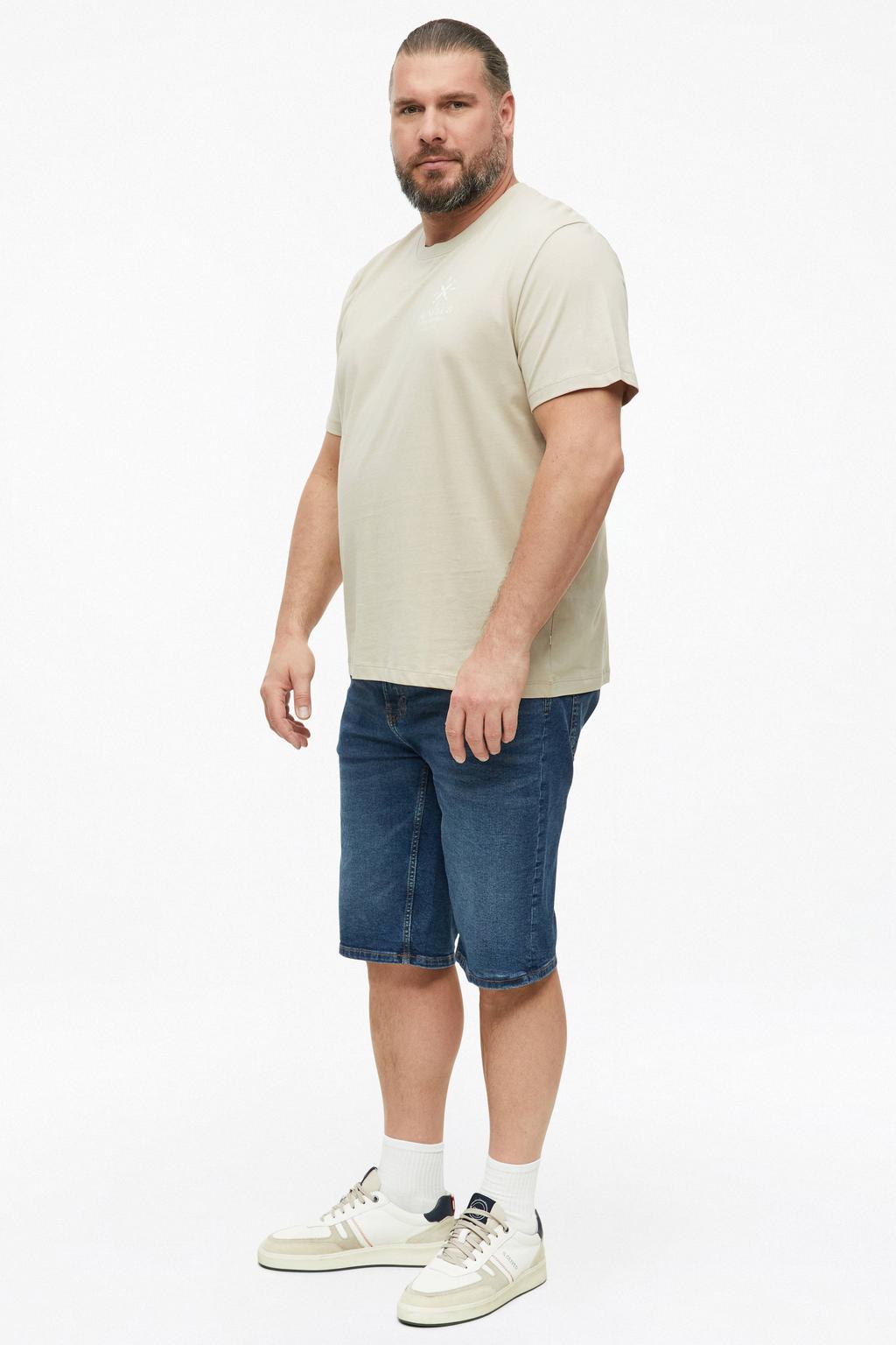 s.Oliver Big Size regular fit T-shirt met print - beige