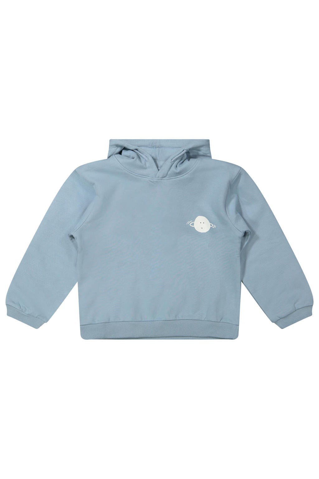 Lichtblauwe jongens Riffle Amsterdam hoodie van sweat materiaal met printopdruk, lange mouwen en capuchon