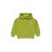 QPI hoodie met backprint - groen