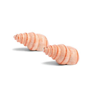 peper- en zoutstel Shell