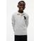 Tommy Hilfiger longsleeve - lichtgrijs