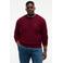 Tommy Hilfiger Big & Tall Plus Size regular fit gebreide trui met kasjmier - burgundy