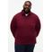 Tommy Hilfiger Big & Tall Plus Size regular fit polo - bordeauxrood