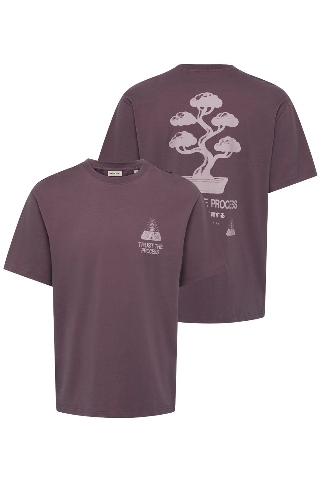 ONLY & SONS relaxed fit T-shirt met backprint - donkerpaars
