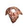 Liu Jo sjaal met print camel