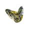Desigual sjaal met print groen