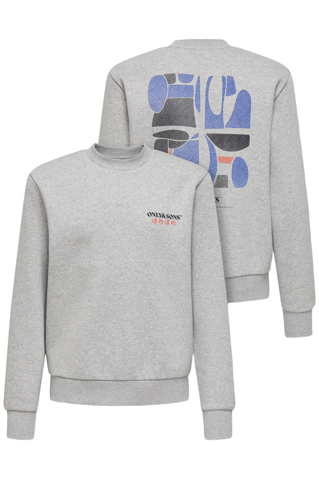 ONLY & SONS JUNIOR sweater met backprint - grijs