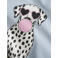 NAME IT KIDS rechtvallende longsleeve met print - blauw