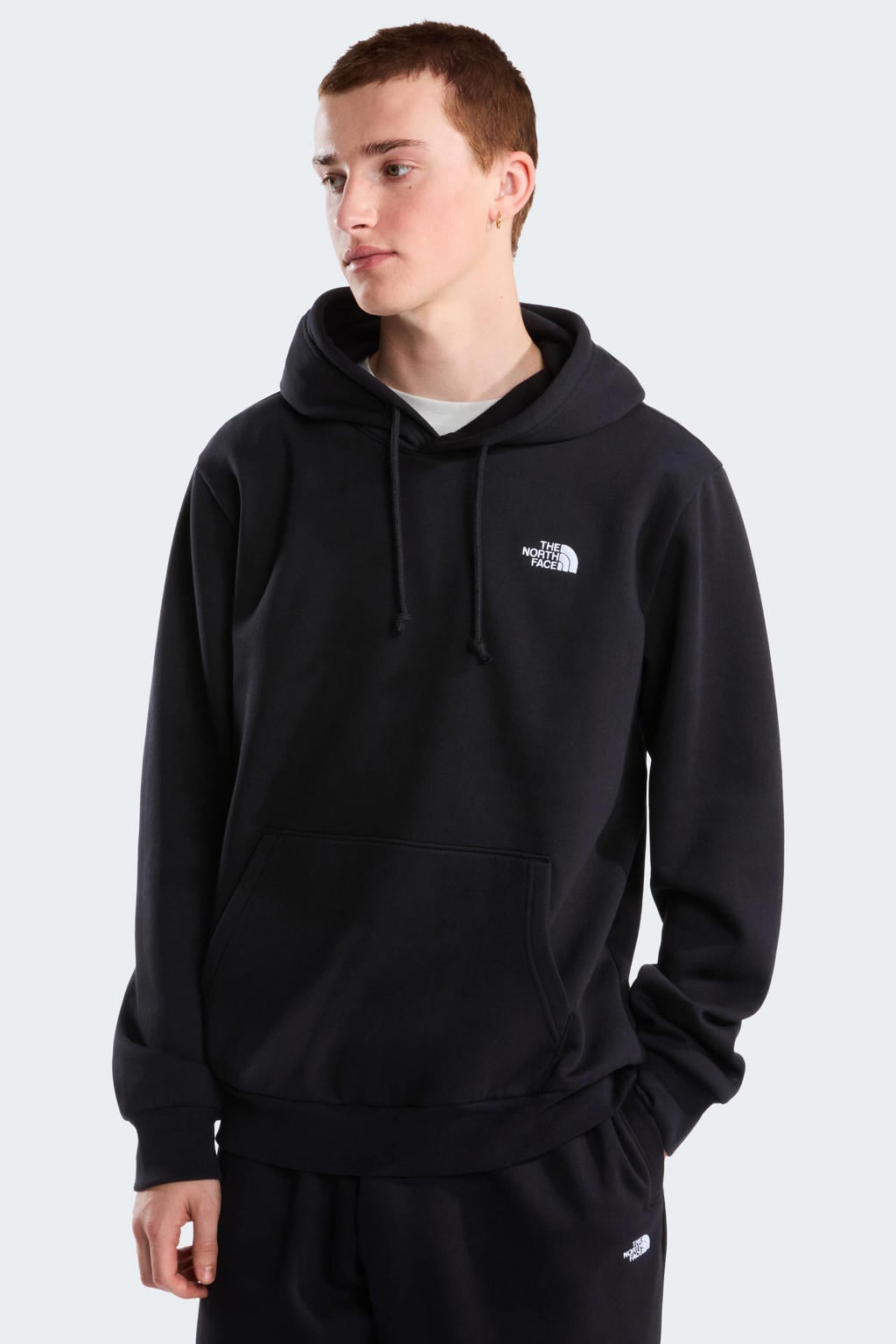The North Face Evolution Simple Dome hoodie met backprint - zwart