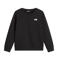 The North Face Evolution Simple Dome sweater - zwart